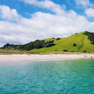 Bay of Islands New Zealand - Nhà của Living Nature