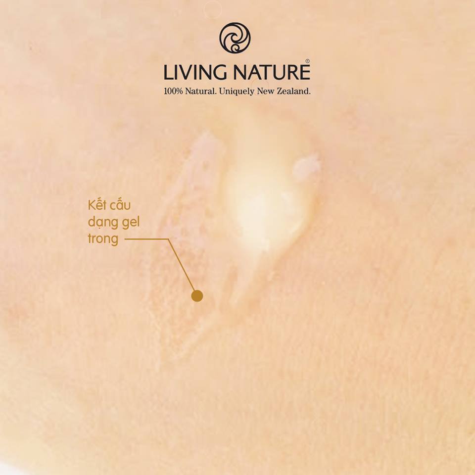 Living Nature Manuka Honey Gel có dạng gel trong