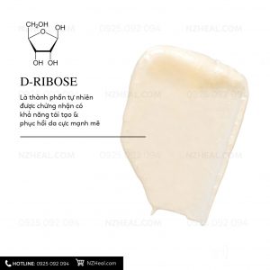 Khám phá công dụng “tái tạo da chuyên sâu” của D-Ribose trong 𝐀𝐝𝐯𝐚𝐧𝐜𝐞𝐝 𝐑𝐞𝐧𝐞𝐰𝐚𝐥 𝐍𝐢𝐠𝐡𝐭 𝐒𝐞𝐫𝐮𝐦