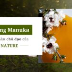 mat-ong-manuka-thanh-phan-chu-dao-cua-my-pham-living-nature