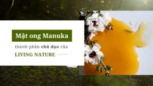 mat-ong-manuka-thanh-phan-chu-dao-cua-my-pham-living-nature